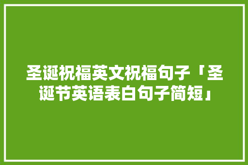 圣诞祝福英文祝福句子「圣诞节英语表白句子简短」
