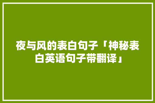 夜与风的表白句子「神秘表白英语句子带翻译」