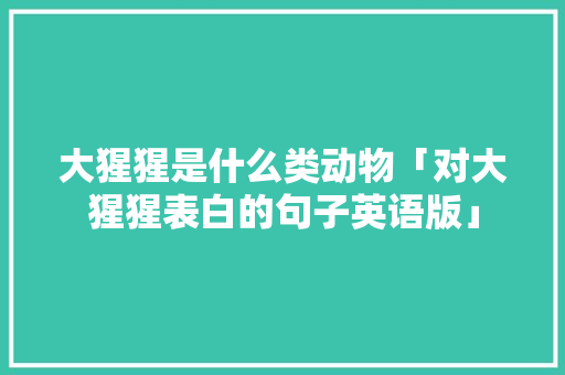 大猩猩是什么类动物「对大猩猩表白的句子英语版」 大猩猩是什么类动物「对大猩猩表白的句子英语版」 恋爱技巧