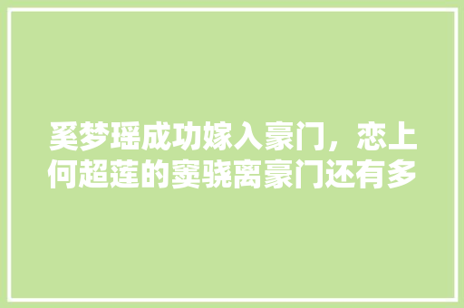 奚梦瑶成功嫁入豪门，恋上何超莲的窦骁离豪门还有多远「用英文藏头表白」
