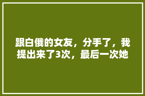 跟白俄的女友，分手了，我提出来了3次，最后一次她没有挽留我，现在很后悔「用俄语表白句子英语作文怎么写」