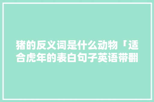 猪的反义词是什么动物「适合虎年的表白句子英语带翻译」 猪的反义词是什么动物「适合虎年的表白句子英语带翻译」 恋爱技巧