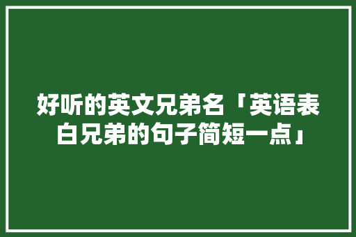好听的英文兄弟名「英语表白兄弟的句子简短一点」