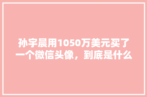 孙宇晨用1050万美元买了一个微信头像，到底是什么目的呢「英文表白头像」 孙宇晨用1050万美元买了一个微信头像，到底是什么目的呢「英文表白头像」 恋爱技巧