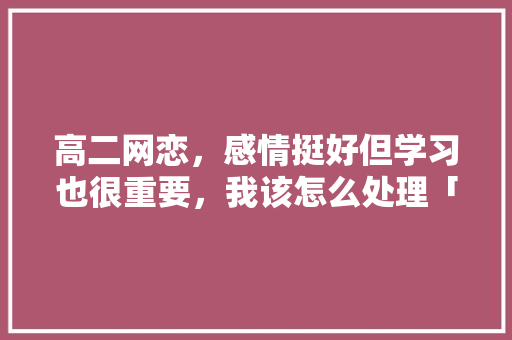 高二网恋，感情挺好但学习也很重要，我该怎么处理「英语网恋表白句子大全简短」