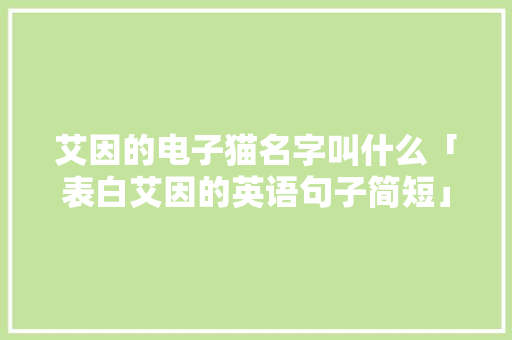 艾因的电子猫名字叫什么「表白艾因的英语句子简短」