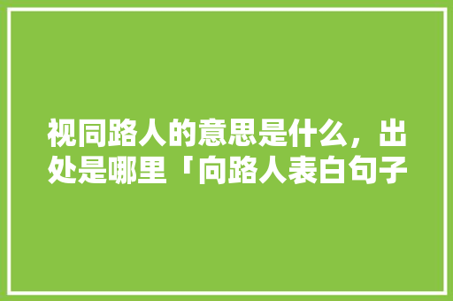 视同路人的意思是什么，出处是哪里「向路人表白句子简短英语版」