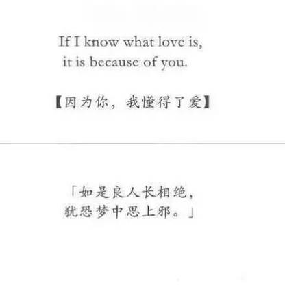 告白小说应橙经典句子「小说的表白句子英语短句带翻译」 告白小说应橙经典句子「小说的表白句子英语短句带翻译」 土味情话